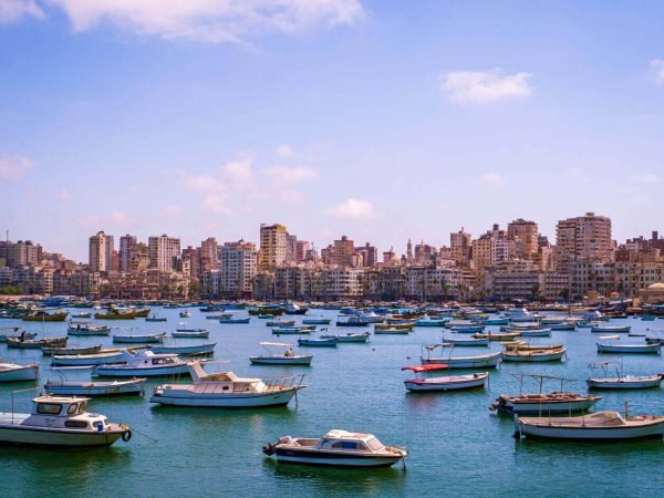 Marina-boats-in-Alexandria